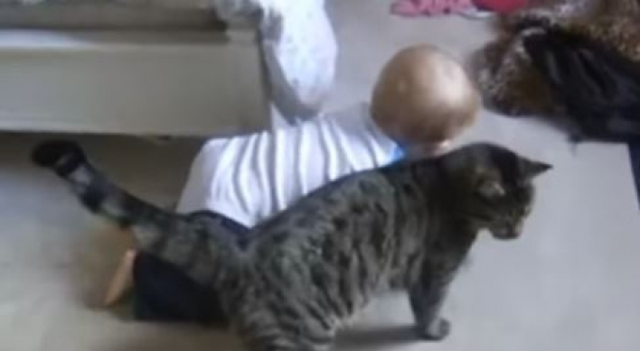 녹아내리는 심쿵 고양이와 아기 영상