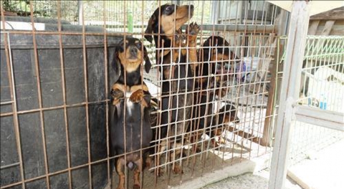 Parliament passes law requiring license for 'pet dog factories'