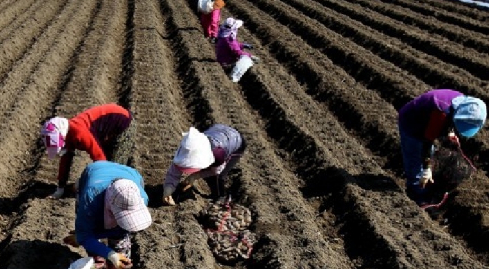 Korea's farmland area down 2.1% in 2016