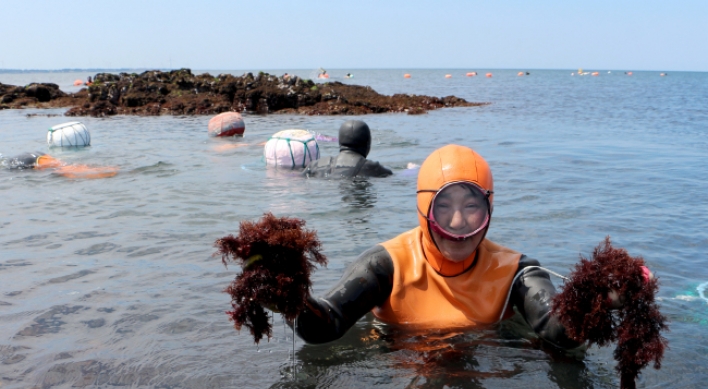 Jeju’s female diving culture gets heritage listing