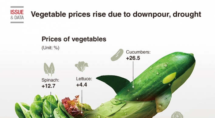 [Graphic News] Vegetable prices rise due to downpour, drought