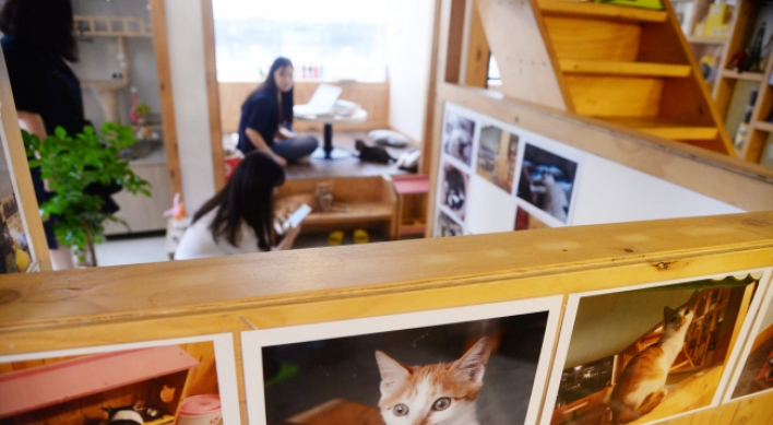 [Weekender] Special cafe for rescued cats offers chance for adoption