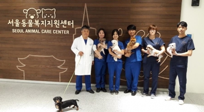 Seoul Animal Care Center to open this week