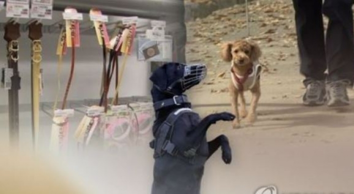Korea set to implement tougher dog leash law
