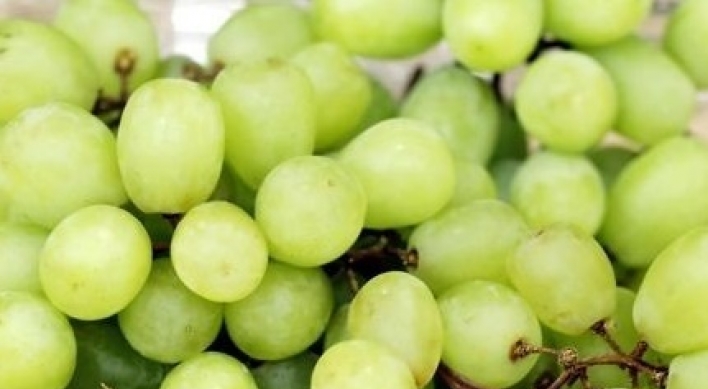 Grape variety with mango taste grows popular in Korea