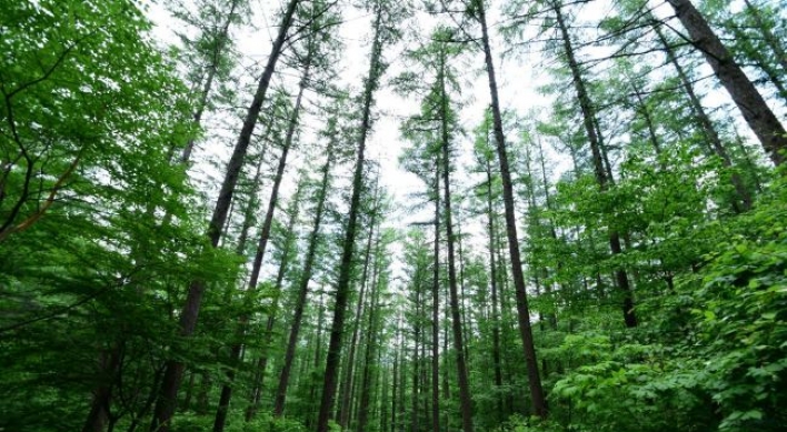 Majority Koreans recognize forests' role in improving life: survey