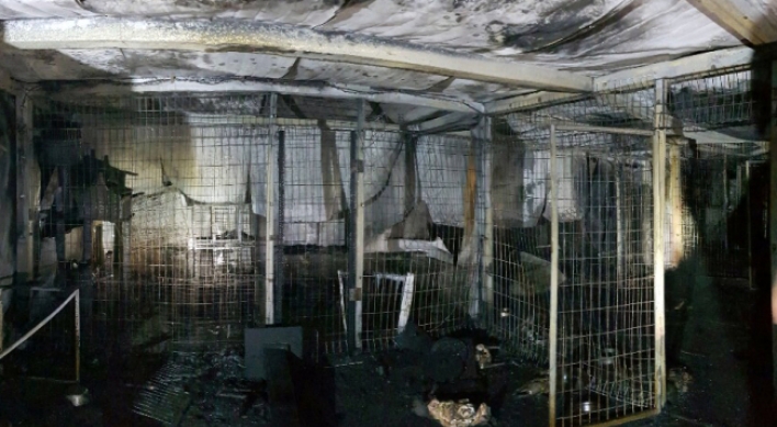 Fire at shelter kills 260 animals