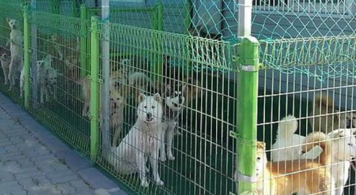 Agriculture Ministry to strengthen penalties for animal abuse