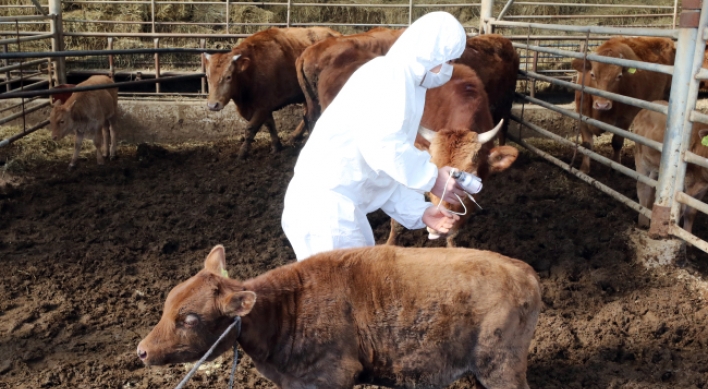 Another suspected FMD outbreak found in Anseong