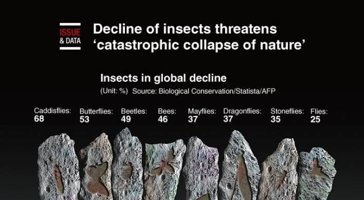 [Graphic News] Decline of insects threatens ‘catastrophic collapse of nature’
