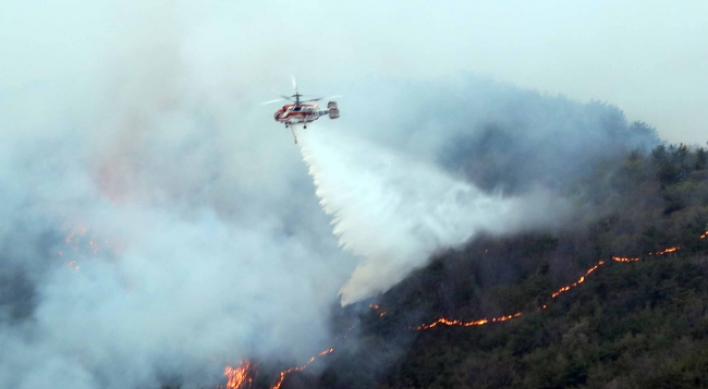 Fire in Busan burns 20 ha of forest in two days
