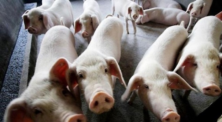 Another suspected African swine fever case reported in S. Korea