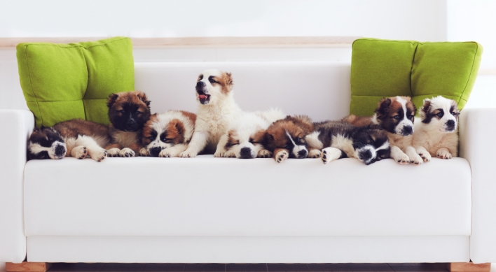 [Weekender] Pet care industry thrives with creative services
