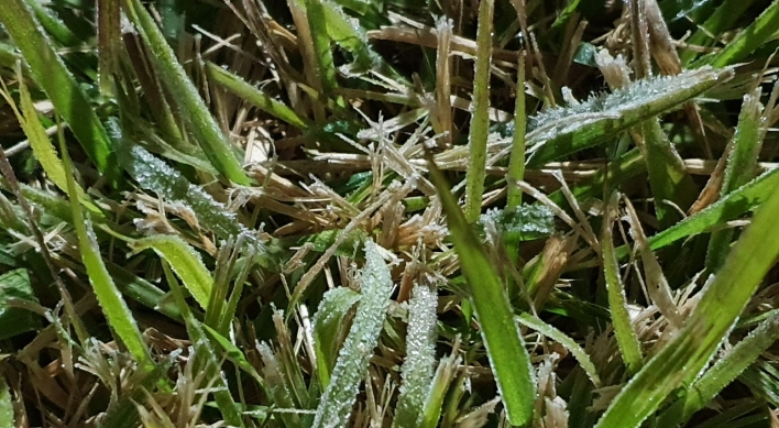 First frost of this autumn spotted in Seoul