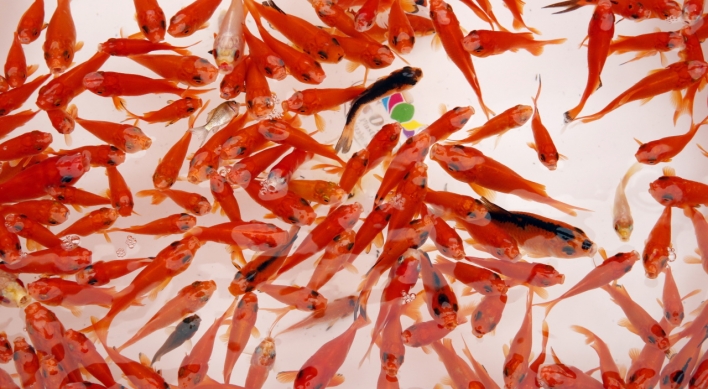 S. Korea's pet fish market to grow 35% by 2025