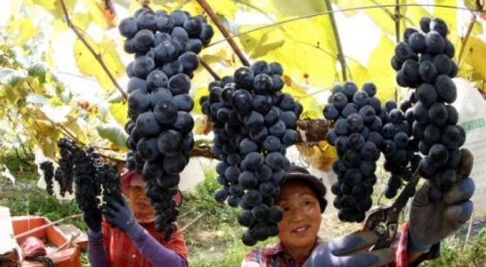 S. Korea's exports of grapes set fresh high in 2020