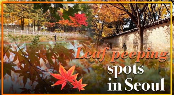 [Video] No need to look too far: Leaf peeping spots in Seoul