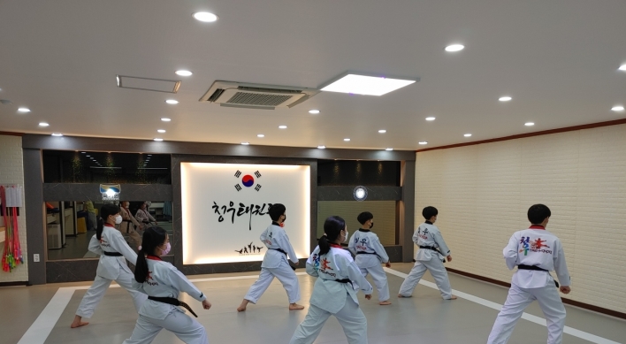 Why so many taekwondo academies?