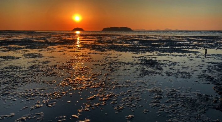 [Visual History of Korea] Getbol, the Korean tidal flats and sustainable seafood dining