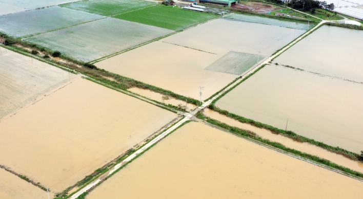 Monsoon rain ravages farms, kills livestock