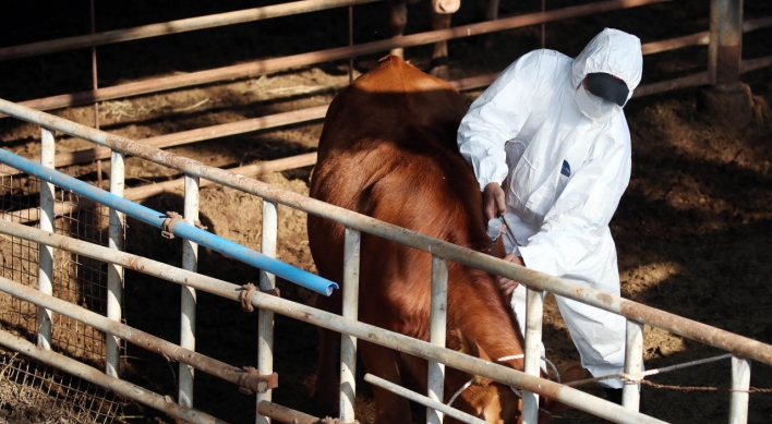 Over 90 pct of cattle vaccinated against lumpy skin disease