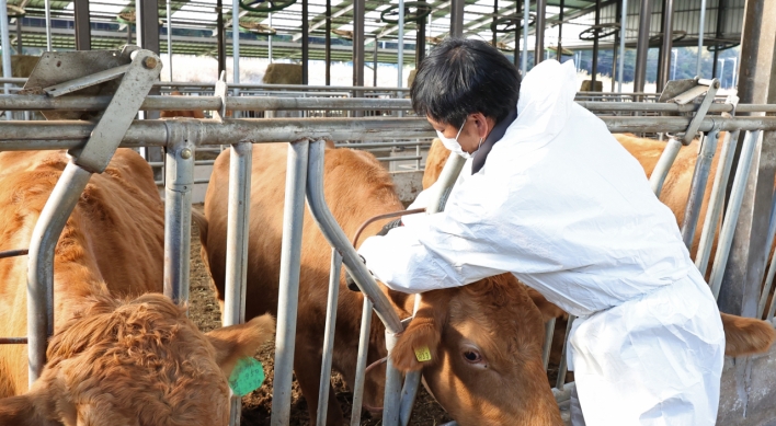 Cattle vaccination for lumpy skin disease nears completion