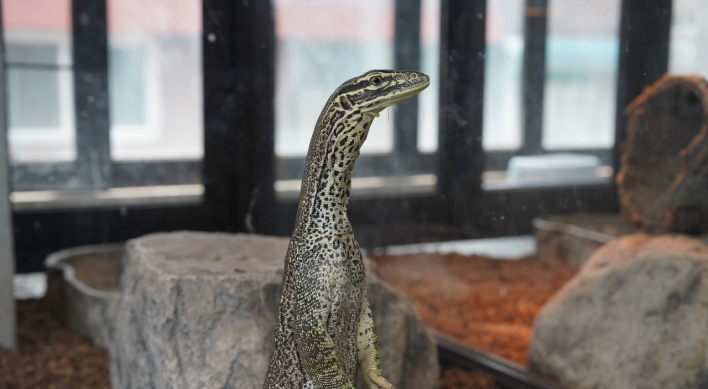 [Well-curated] Reptiles, Hangeul-theme cafe and circus on Nodeul Island