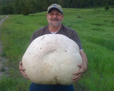 Man lugs home 57-pound mushroom