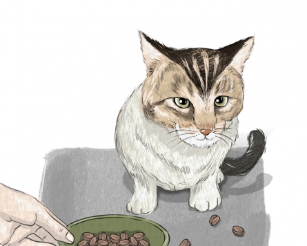 [Weekender] ‘Cat moms’: Purr-fect allies or cat-astrophe?