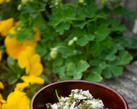 [Temple to Table] Field of mountain herbs in mind: eosuri, ginseng sprouts