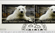 독일의 ’스타 아기 북극곰' 크누트 돌연사