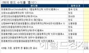 신흥국 펀드의 귀환