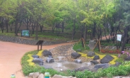 성동구 대현산공원 '산책하기 좋은 공원'  재탄생