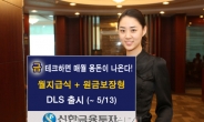 신한금융투자, 金투자 월지급식 DLS 출시