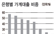 가계대출 대대적 ‘창구지도’ 나선다