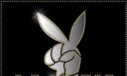 GD&TOP, '토끼 로고 못 쓴다'...‘플레이보이’로부터 상표권 침해 지적