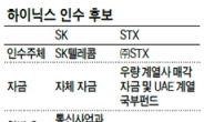 신수종 확보·사업다각화 돌파구