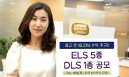 대우證, ELS 5종, DLS 1종 선봬