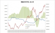 오리무중 증시...나침반은 환(換)