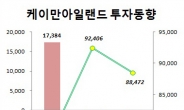 증시 뒤흔드는 주범은 헤지펀드