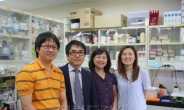 강현아·반용선 교수 연구팀…뇌수막염 치료법 단서 발견