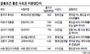 금융조건 좋은 미분양단지 주목