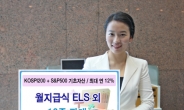 신한금융투자, 월지급식 등 ELS 10종 판매