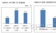 중소기업 재정위기 여파로 자금난