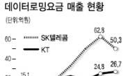 통신사 ‘데이터 로밍 매출 짭짤하네~’