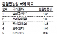 한국은 여전히 ‘환율 멀미’ 중…