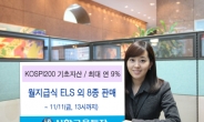 신한금융투자, 월지급식 등 ELS 8종 판매