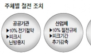 올겨울 전력대란 ‘선제대응’