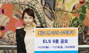 신한금융투자, 월지급식 등 ELS 9종 판매