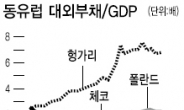 재정 리스크 동유럽 확산?…투자 주의보